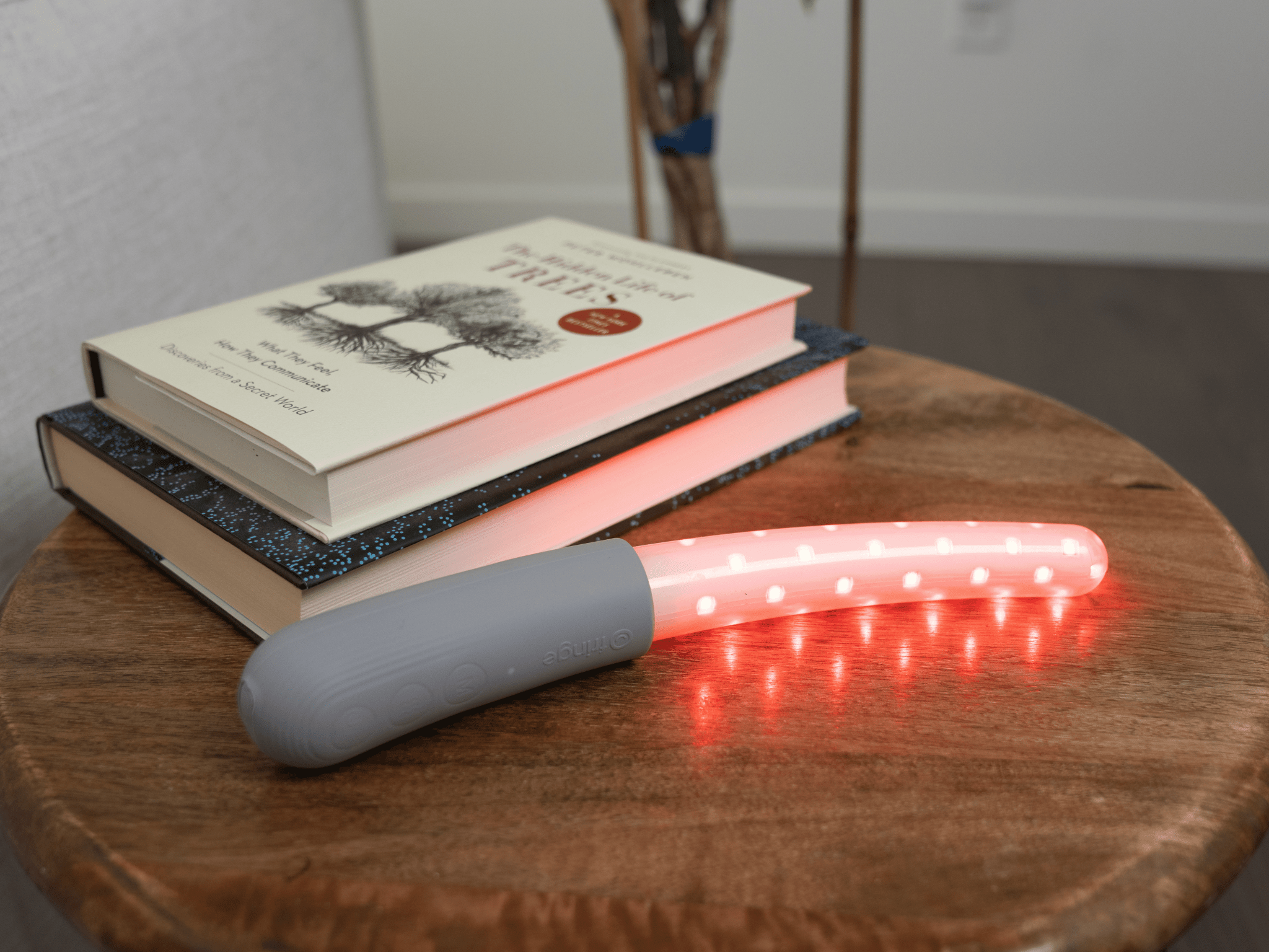 Endometriosis and Red Light Therapy: What the Evidence Shows - Fringe