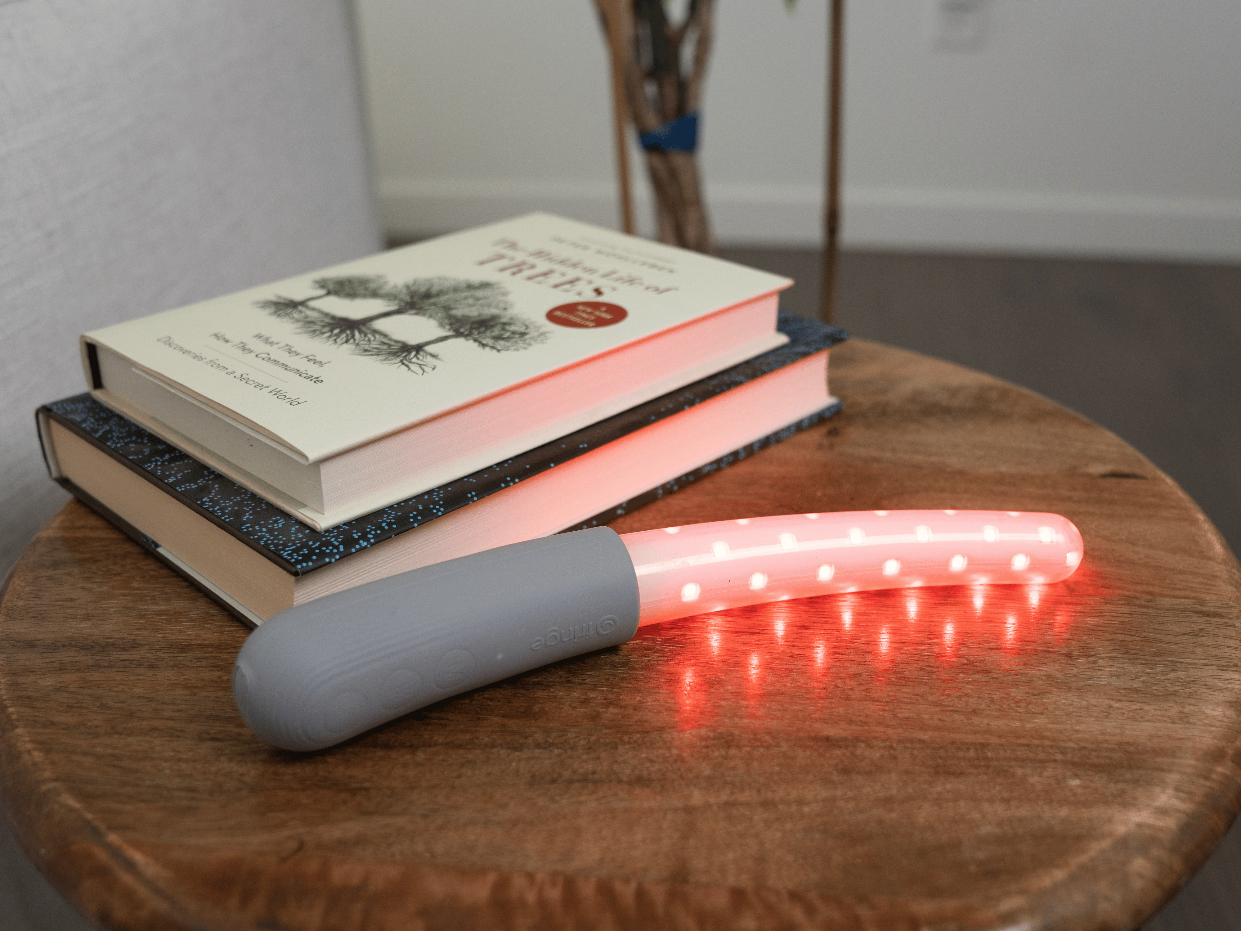 Endometriosis and Red Light Therapy: What the Evidence Shows