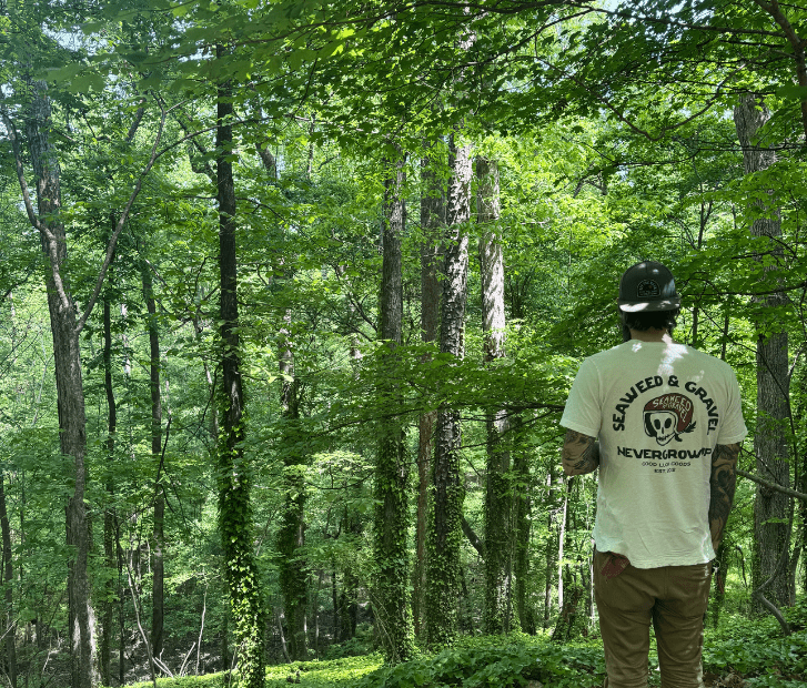 What is Earthing? - Fringe