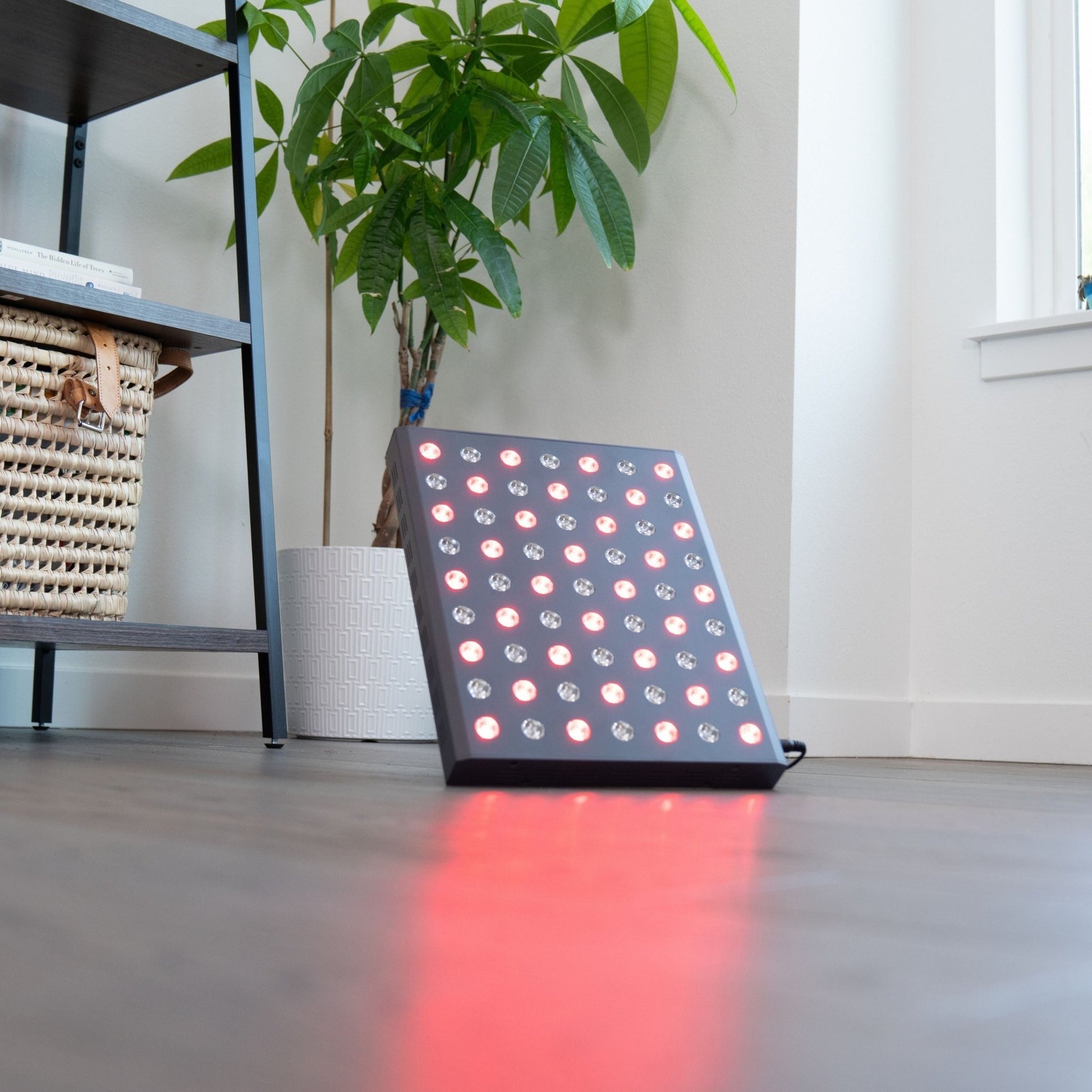 Red Light Therapy Panel - Fringe