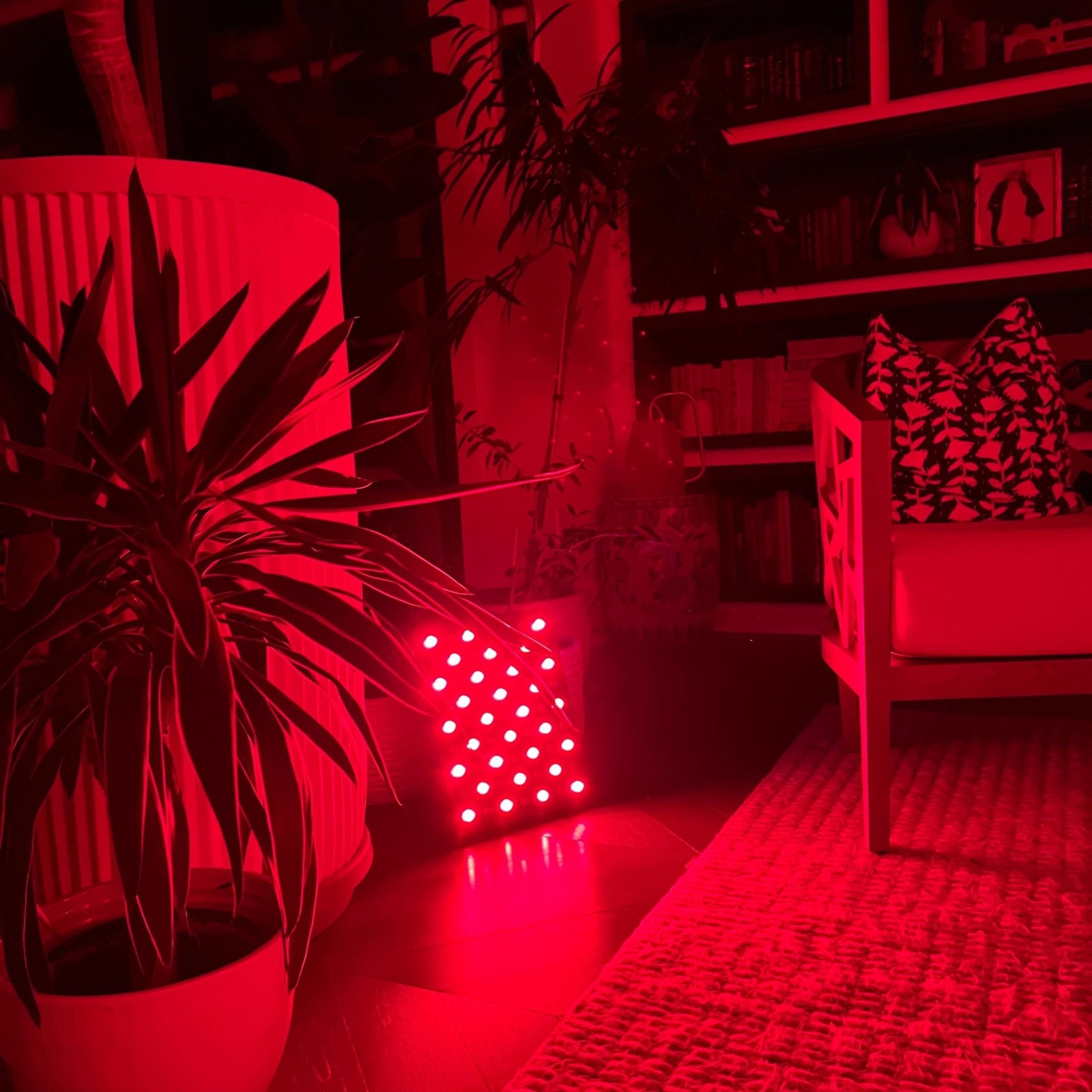 Red Light Therapy Panel - Fringe