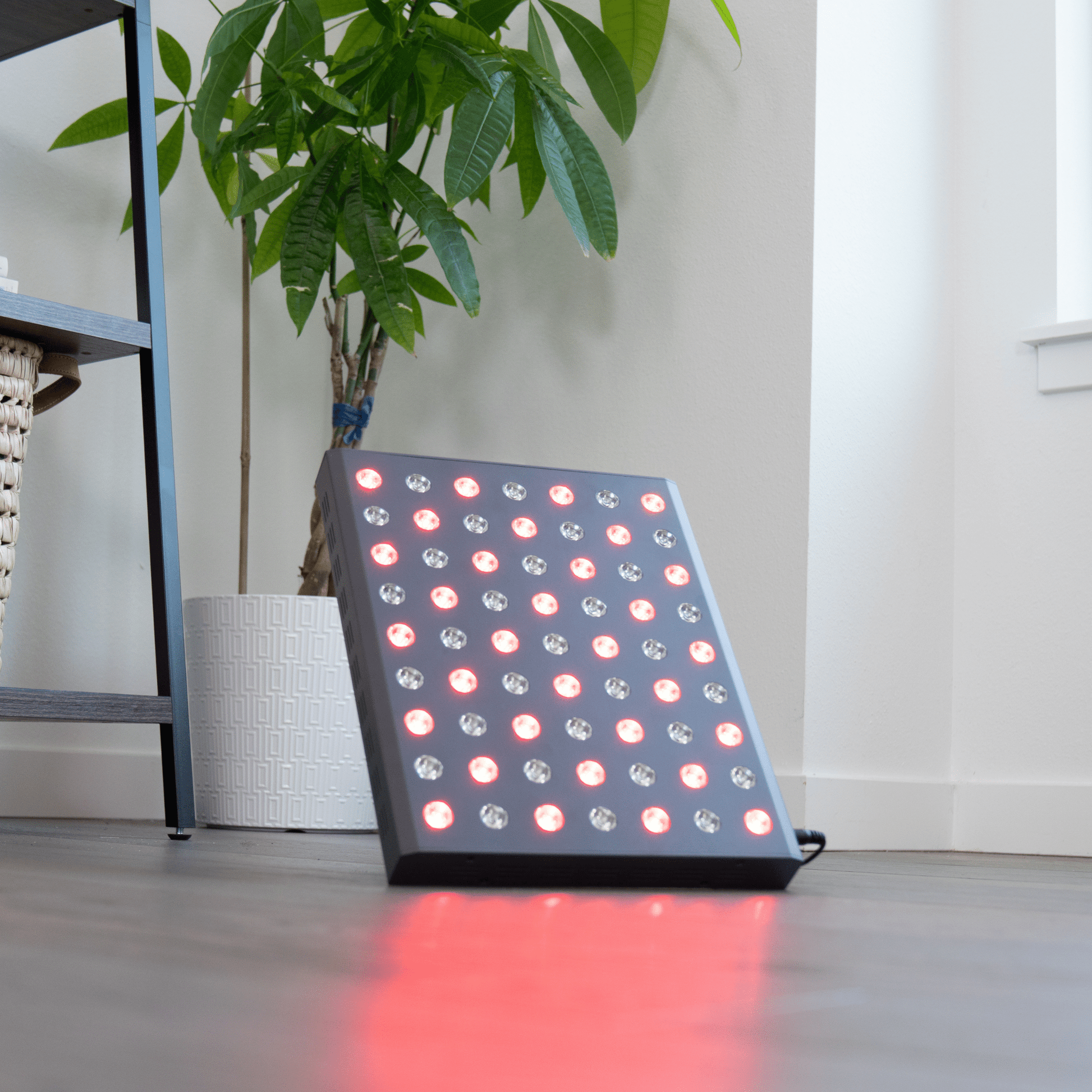 Red Light Therapy Panel - Fringe