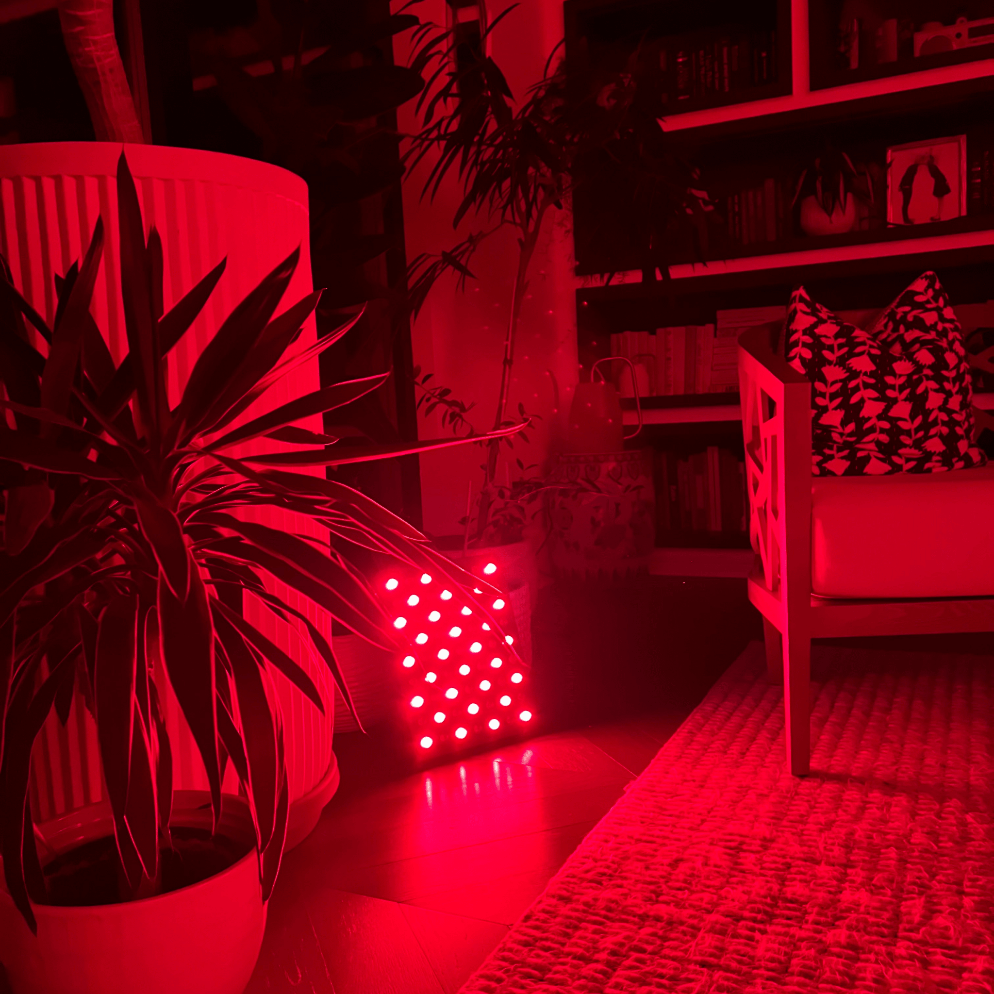 Red Light Therapy Panel - Fringe