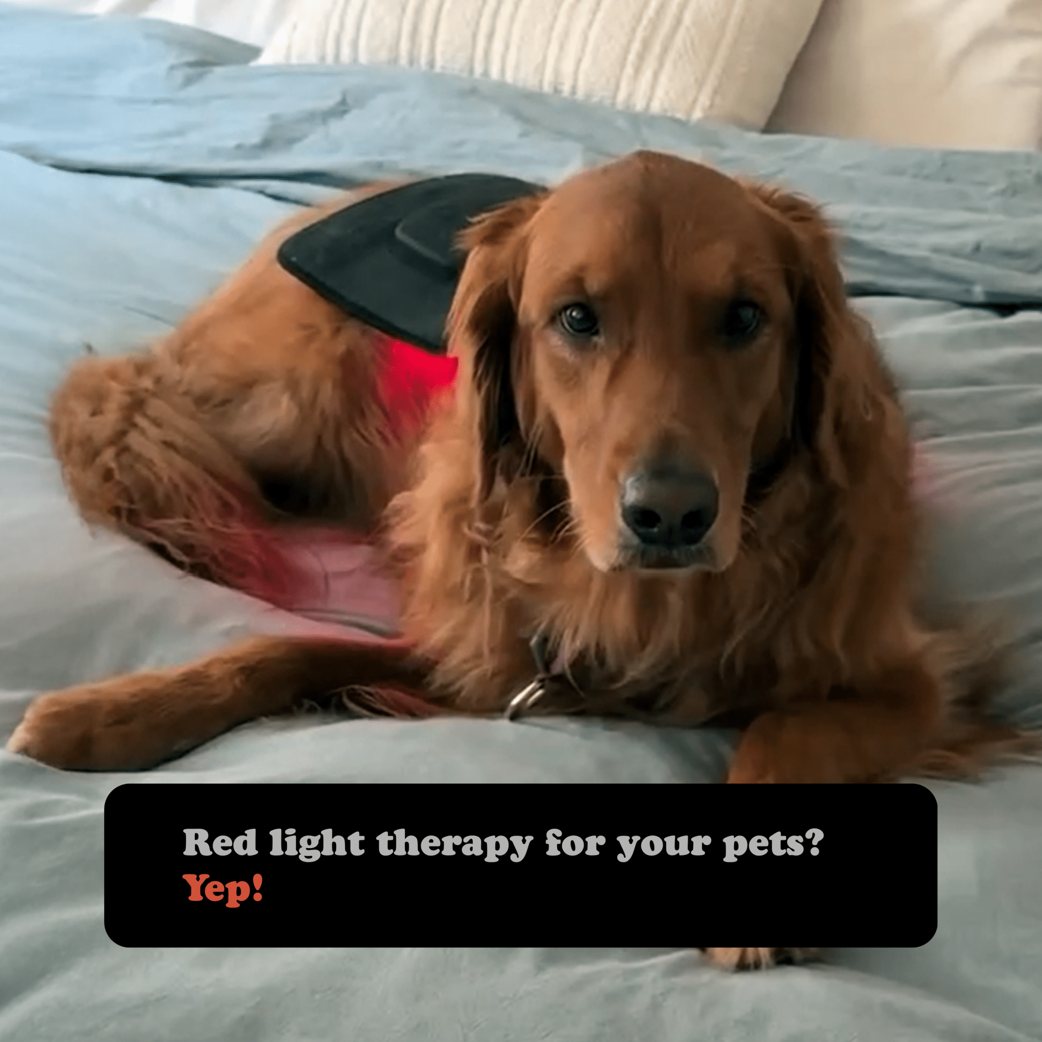 Red Light Therapy Wrap - Fringe