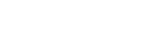 fringe logo white