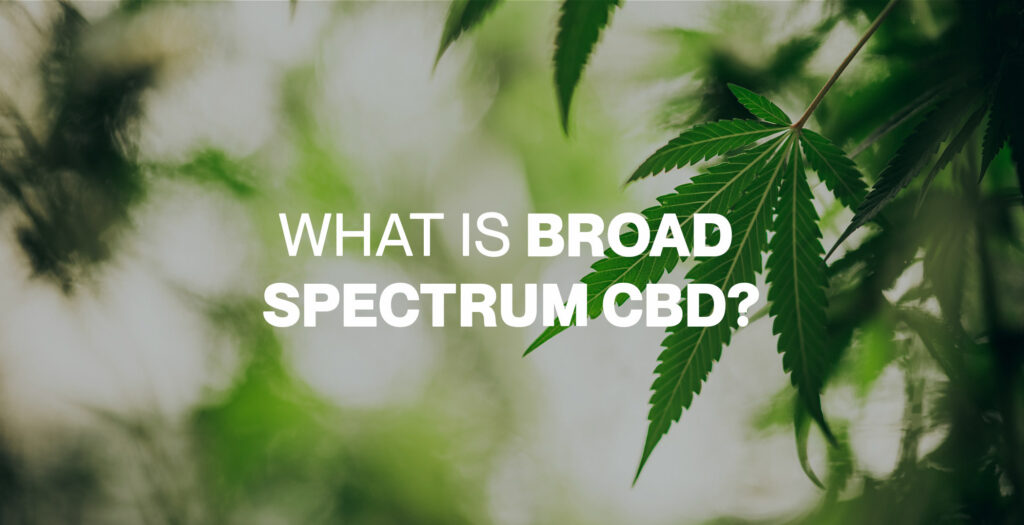 Broad Spectrum CBD vs CBD Isolate
